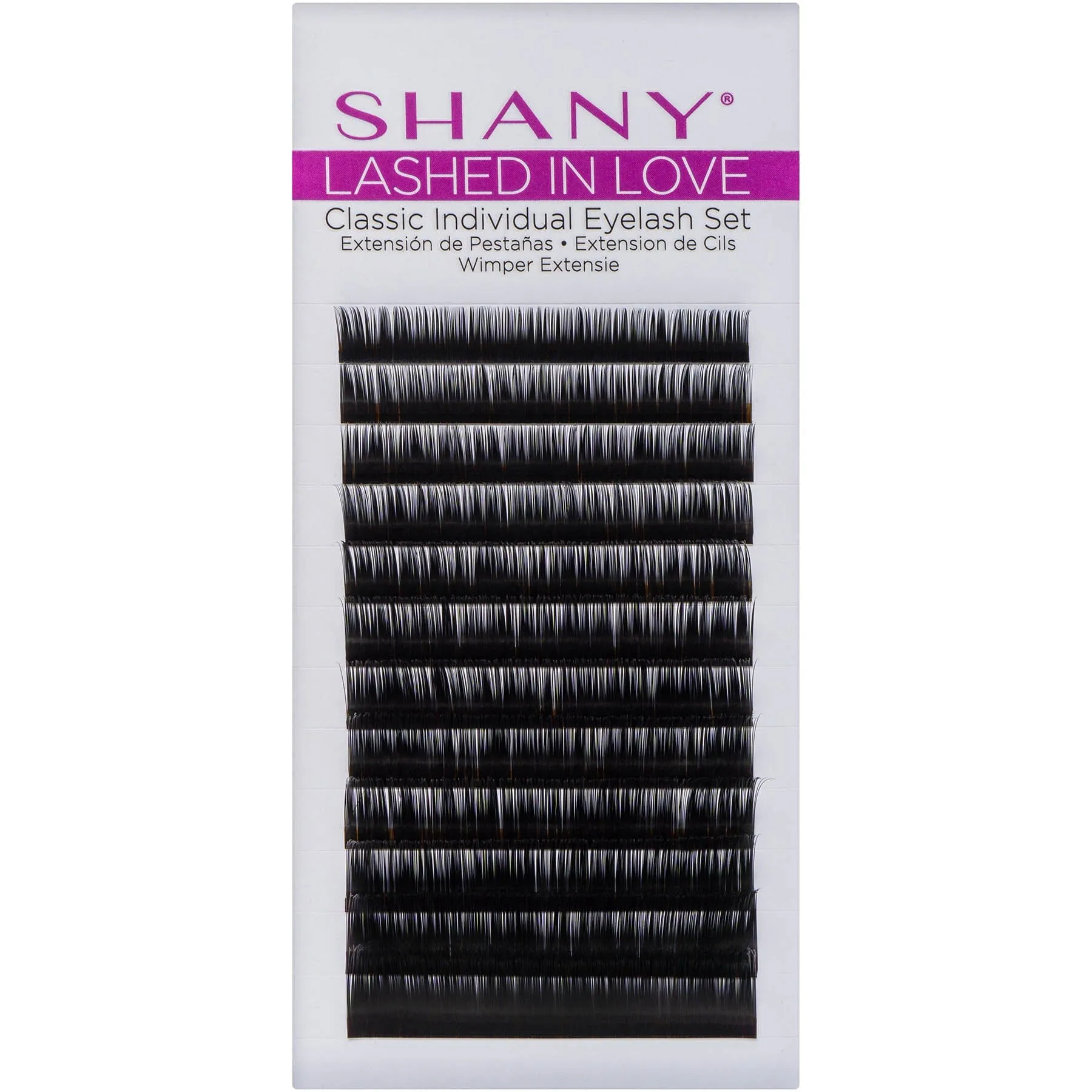 Lashed in Love Classic Individual Eyelash Set