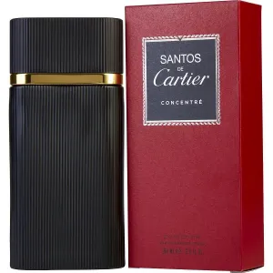 Santos Concentrée eau de toilette spray